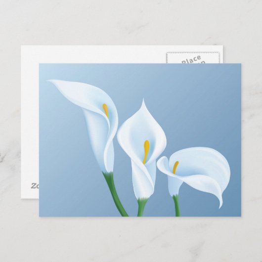 Carte Postale Les fleurs de Calla (Devant / Derrière)