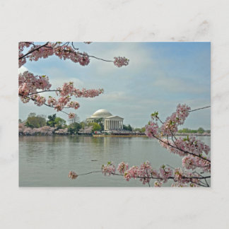 Carte Postale Les fleurs de cerisiers roses et le mémorial de Je