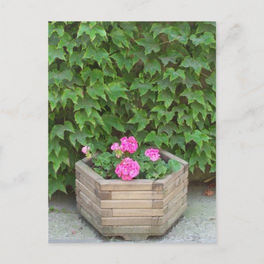 Carte Postale Les fleurs de Monet (Devant)