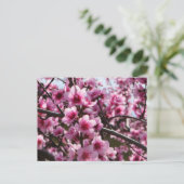 Carte Postale Les fleurs du printemps (Debout devant)