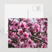 Carte Postale Les fleurs du printemps (Devant / Derrière)