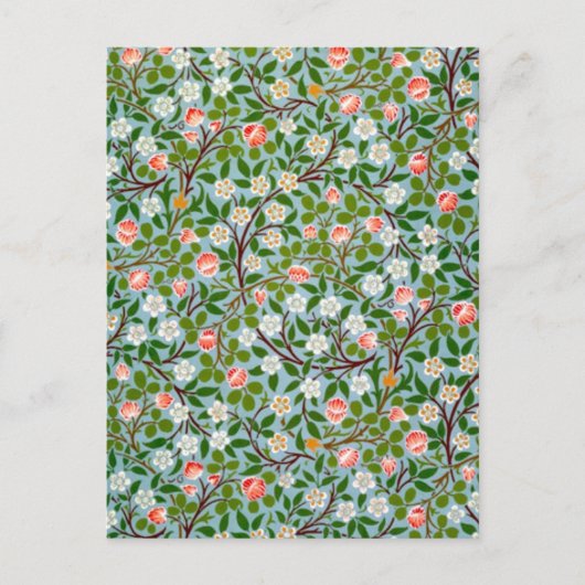 Carte Postale Les fleurs du printemps (Devant)