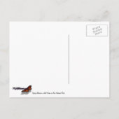 Carte Postale Les fleurs du printemps sur les rochers de Sion (Dos)