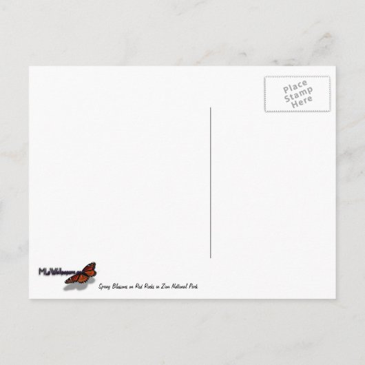 Carte Postale Les fleurs du printemps sur les rochers de Sion (Dos)