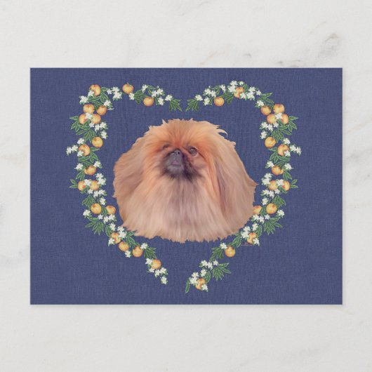 Carte Postale Les fleurs orange de Pekingese (Devant)