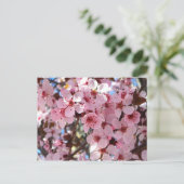 Carte Postale Les fleurs roses sur l'arbre à fleurs ornemental (Debout devant)