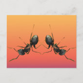 Carte Postale Les fourmis dansantes (Devant)