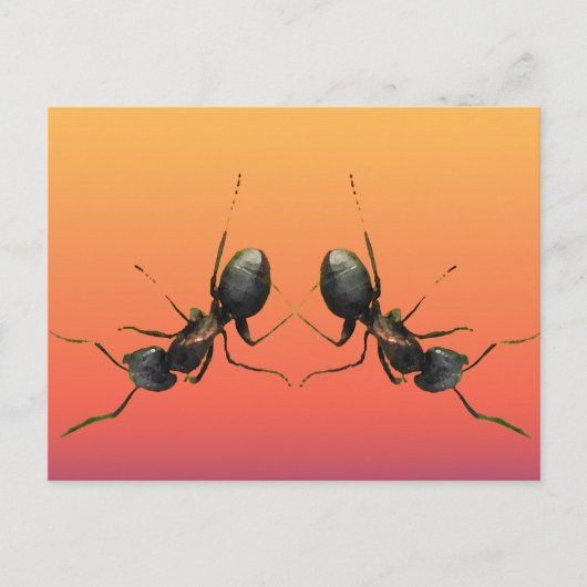 Carte Postale Les fourmis dansantes (Devant)