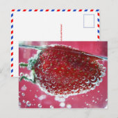 Carte postale "Les fruits de natation existent" (Devant / Derrière)