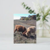 Carte Postale Les garçons sont des garçons... (Debout devant)