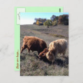 Carte Postale Les garçons sont des garçons... (Devant / Derrière)