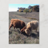 Carte Postale Les garçons sont des garçons... (Devant)