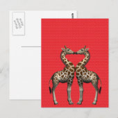Carte Postale Les girafes amoureuses (Devant / Derrière)