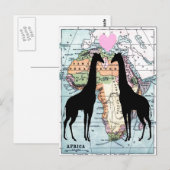 Carte Postale Les girafes amoureuses (Devant / Derrière)