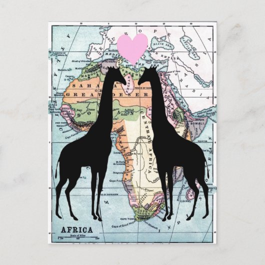 Carte Postale Les girafes amoureuses (Devant)