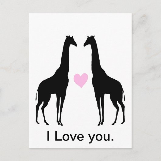 Carte Postale Les girafes amoureuses (Devant)