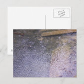 Carte Postale Les gouttes de pluie dans une flaque (Devant / Derrière)