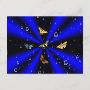 Carte Postale Les gouttes de pluie et le papillon sur le noir et
