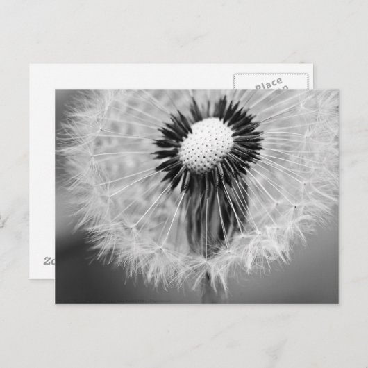 Carte Postale Les graines de demain (Devant / Derrière)