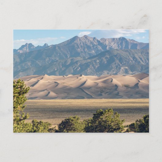 Carte Postale Les Grandes Dunes De Sable (Devant)