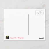 Carte Postale Les grandes mines de Lode de Coenwall (Dos)