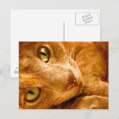 Carte Postale Les grands verts (Devant / Derrière)