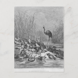 Carte Postale Les grenouilles qui demandent un roi,