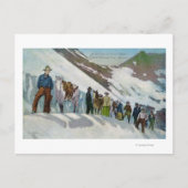 Carte Postale Les grimpeurs au pied du glacier Sperry (Devant)