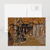 Carte Postale Les Grottes De Floride I. (Devant / Derrière)