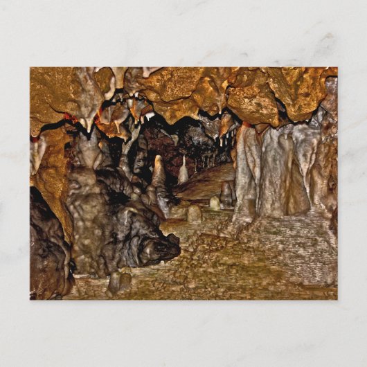 Carte Postale Les Grottes De Floride I. (Devant)