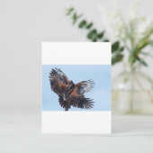 Carte Postale Les Hawks combattent pour le contrôle du ciel (Debout devant)