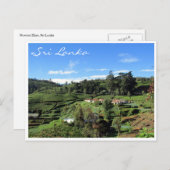 Carte Postale les hills du thé (Devant / Derrière)