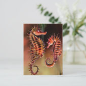 Carte Postale Les hippocampes colorés (Debout devant)