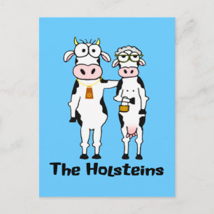 Carte Postale Les Holsteins