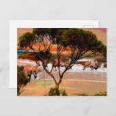 Carte Postale "Les houblons côtiers : Kangaroos sur la rive du p (Devant / Derrière)