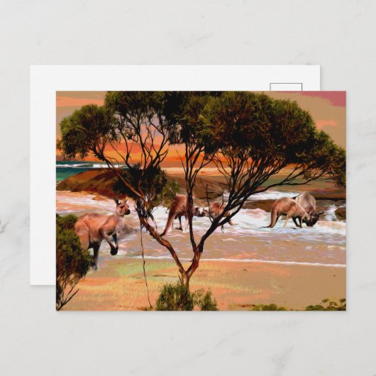Carte Postale "Les houblons côtiers : Kangaroos sur la rive du p (Devant / Derrière)