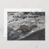 Carte Postale Les îles Galapagos (Devant / Derrière)
