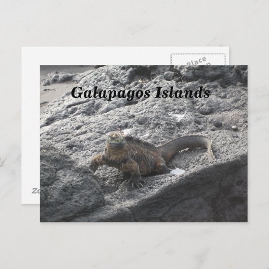 Carte Postale Les îles Galapagos (Devant / Derrière)