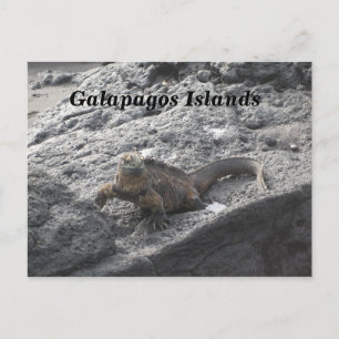 Carte Postale Les îles Galapagos