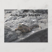 Carte Postale Les îles Galapagos (Devant)