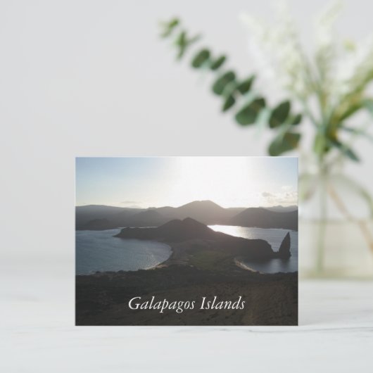 Carte Postale Les îles Galapagos (Debout devant)