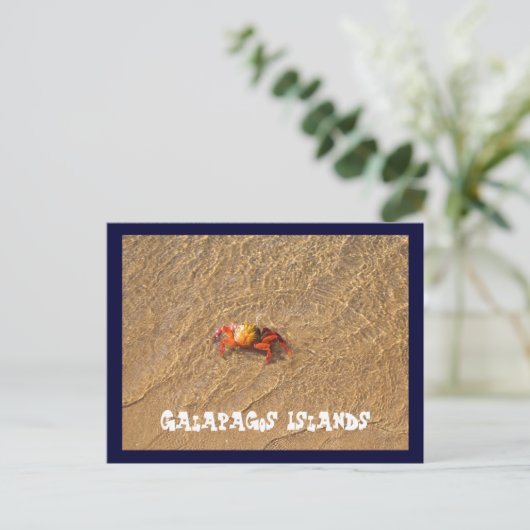 Carte Postale Les îles Galapagos (Debout devant)