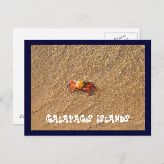 Carte Postale Les îles Galapagos (Devant / Derrière)