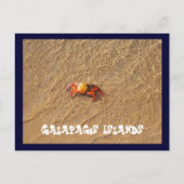 Carte Postale Les îles Galapagos (Devant)