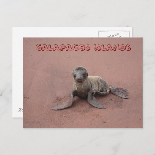 Carte Postale les îles galapagos (Devant / Derrière)