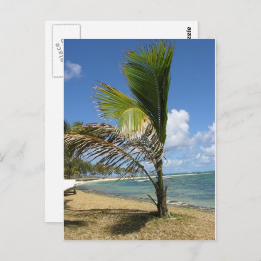 Carte Postale Les Îles Maurice (Devant / Derrière)