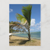 Carte Postale Les Îles Maurice (Devant)