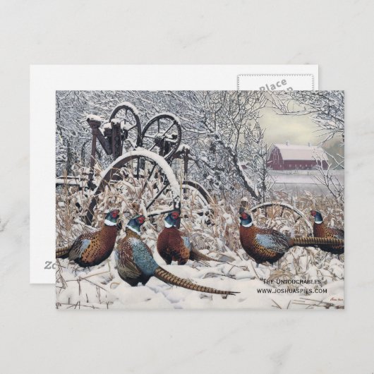 Carte Postale "Les intouchables" par Joshua Spies (Devant / Derrière)