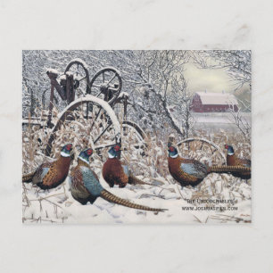 Carte Postale "Les intouchables" par Joshua Spies