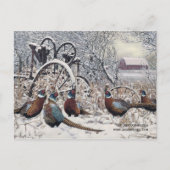 Carte Postale "Les intouchables" par Joshua Spies (Devant)